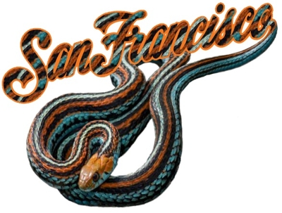 San Francisco Garter Snakes